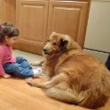 Hanging with the dog